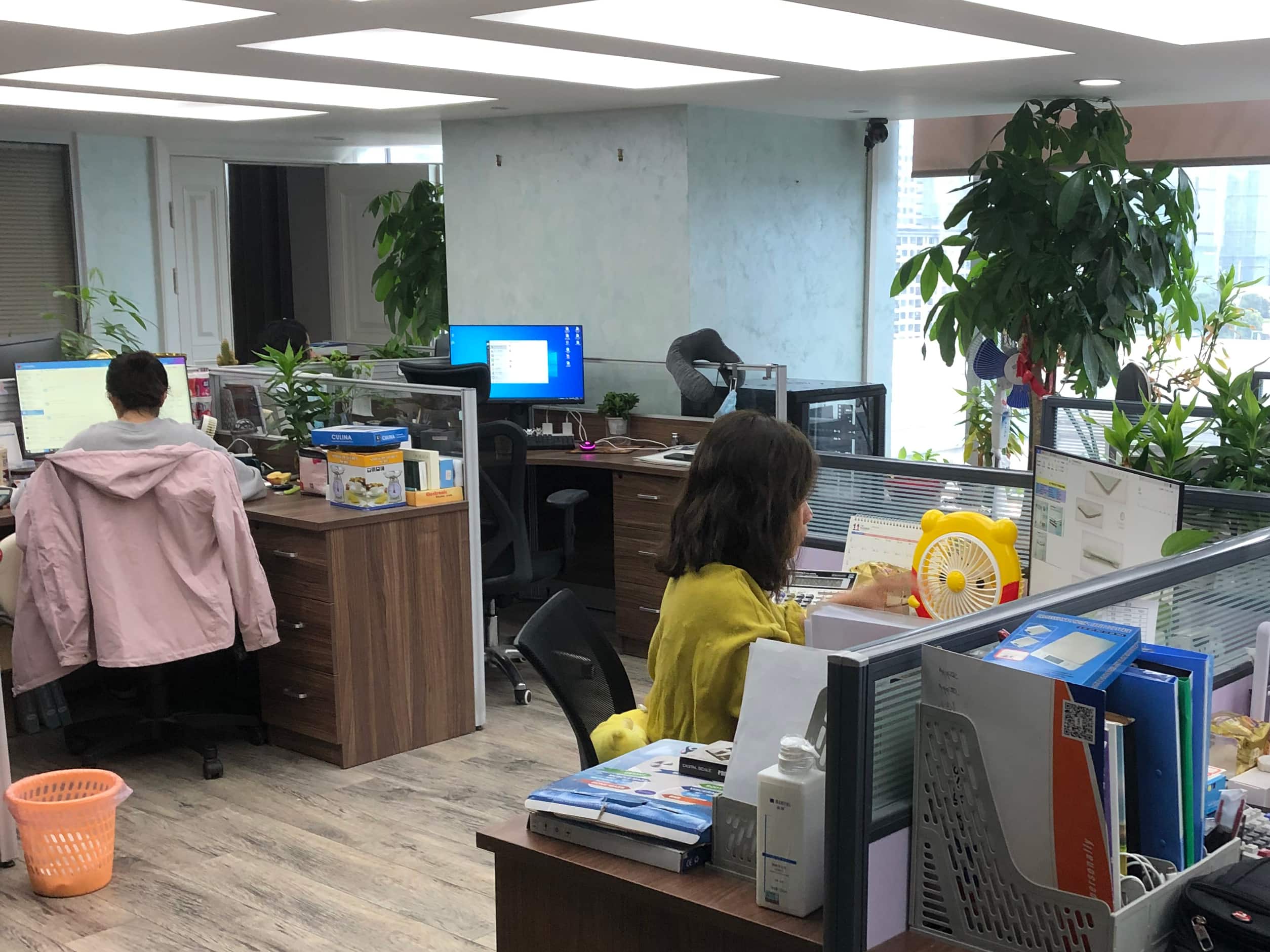 Tsec Chinese Electronic Scale Supplier Manufacturer